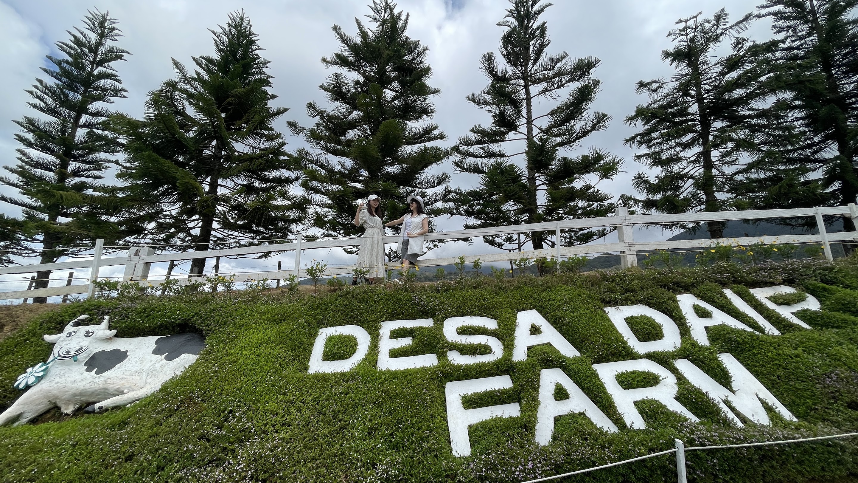 德薩奶牛牧場地標