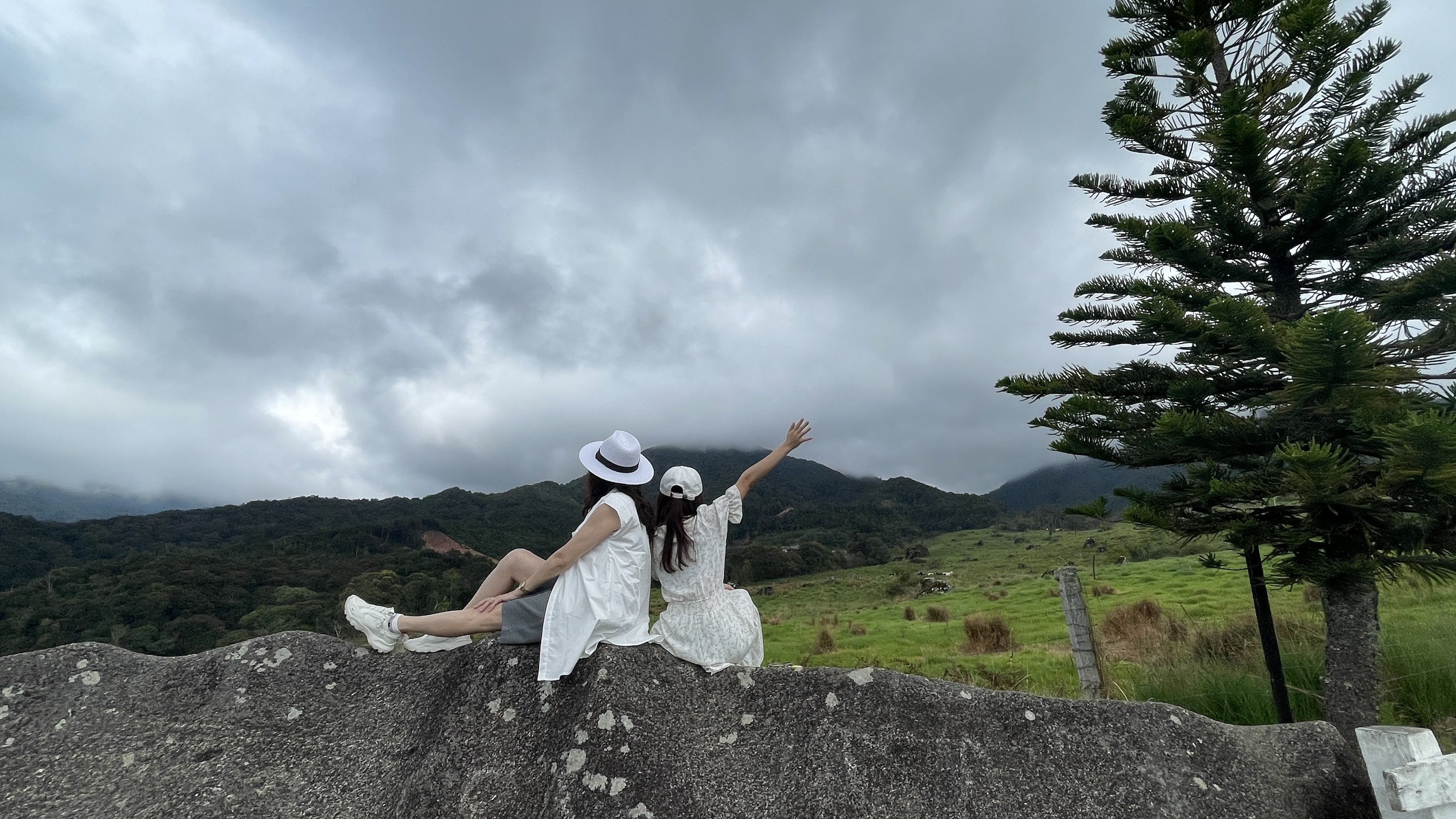 沙巴德薩奶牛牧場