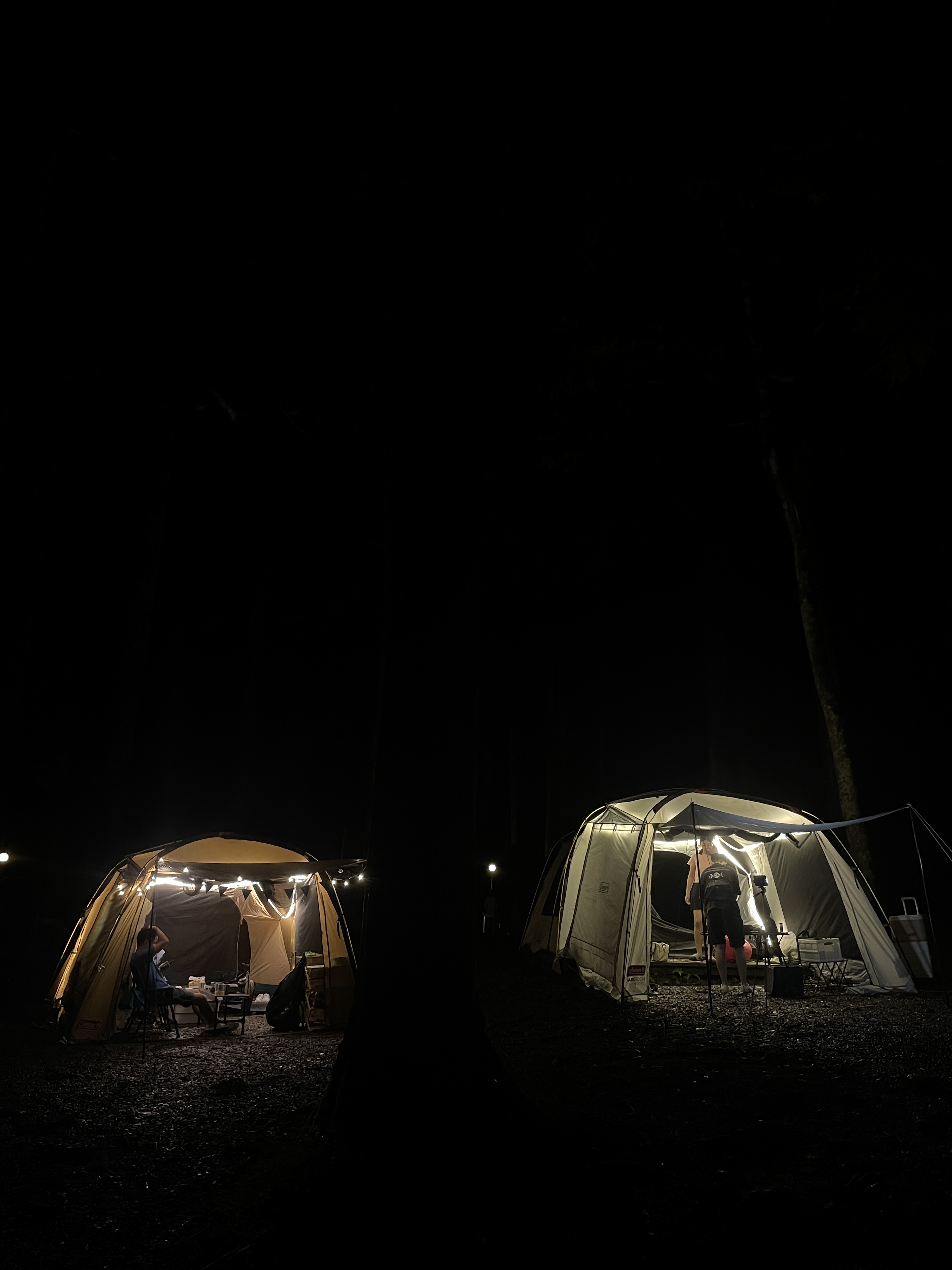 起初營區森林區夜晚