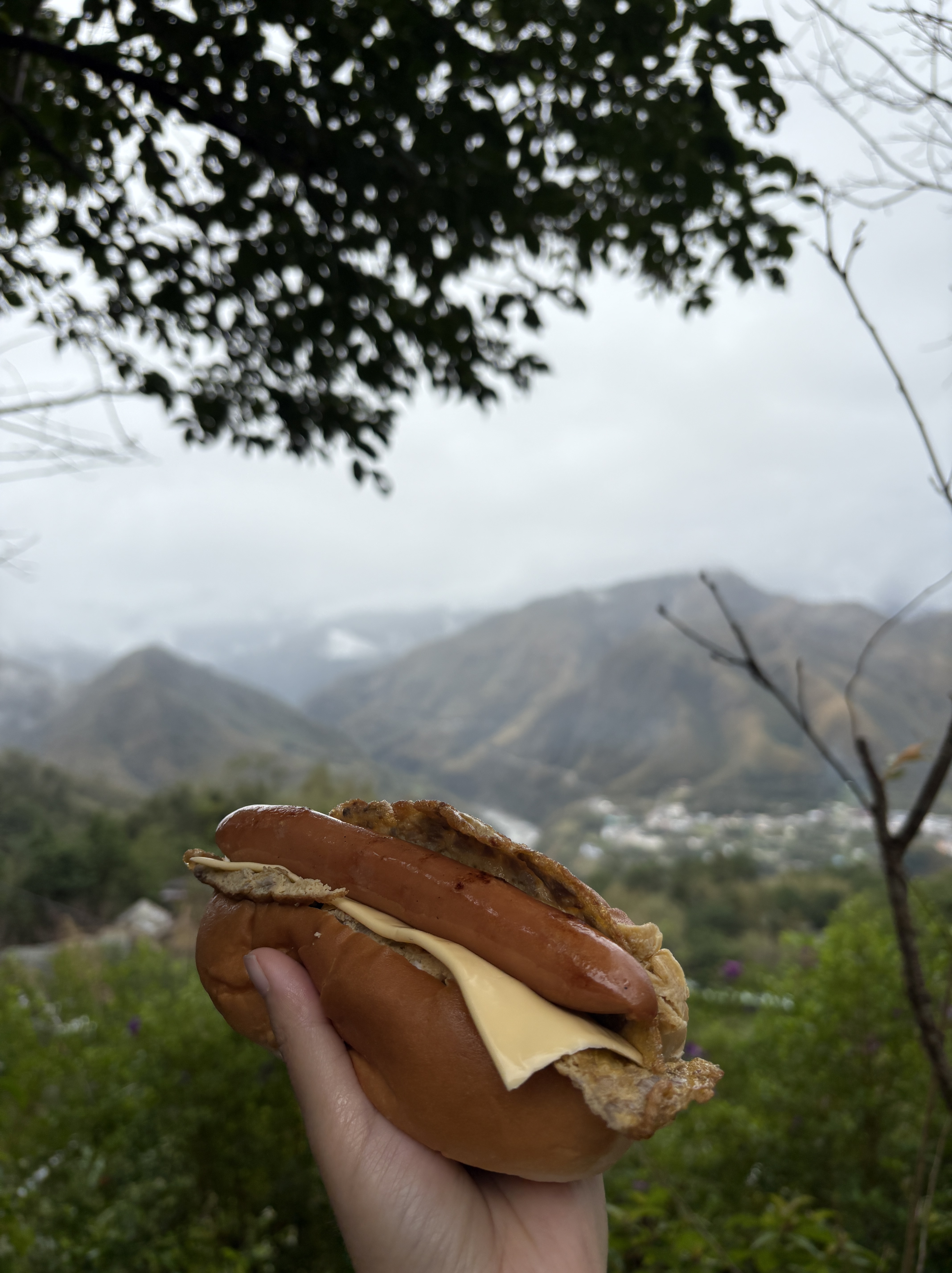 露營手作大亨堡