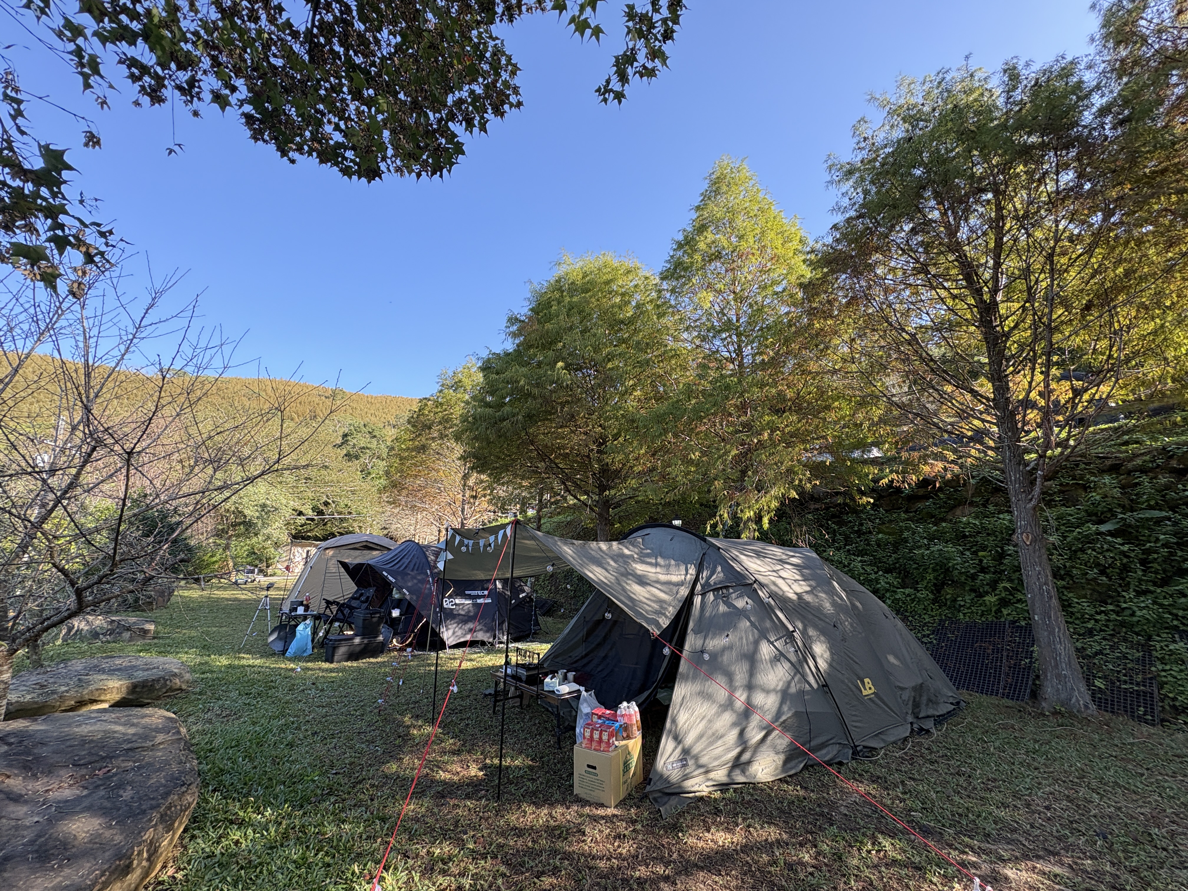 十一月底福人居