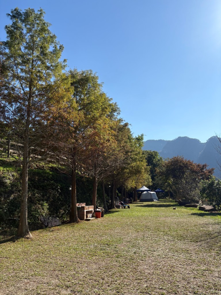 福人居落羽松區