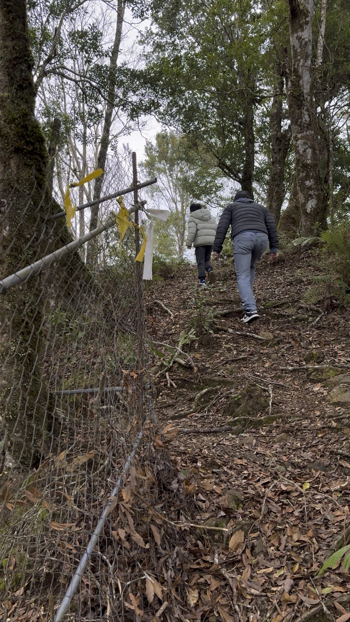 伊萬農場小步道
