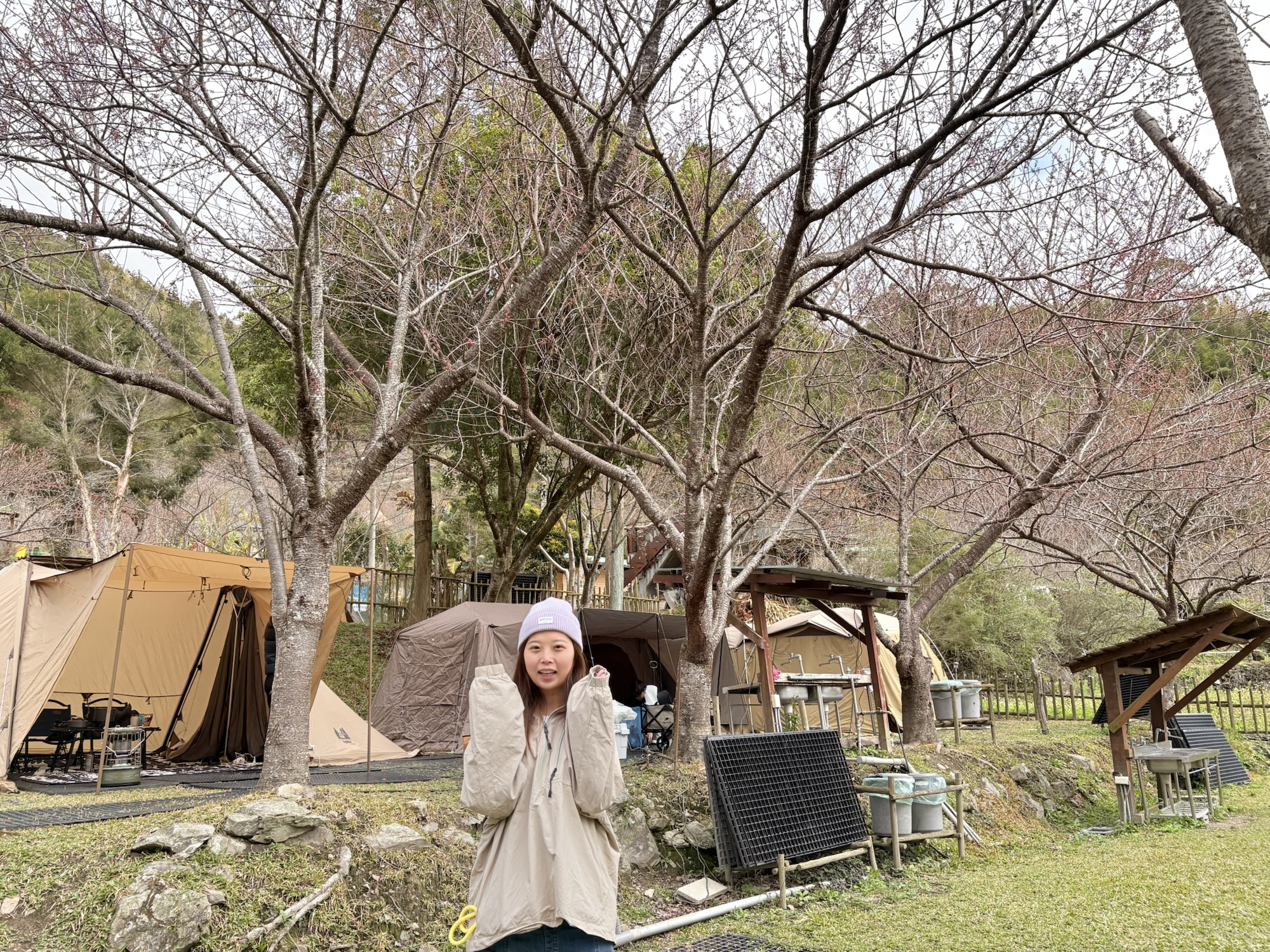 比固花園猴子A櫻花