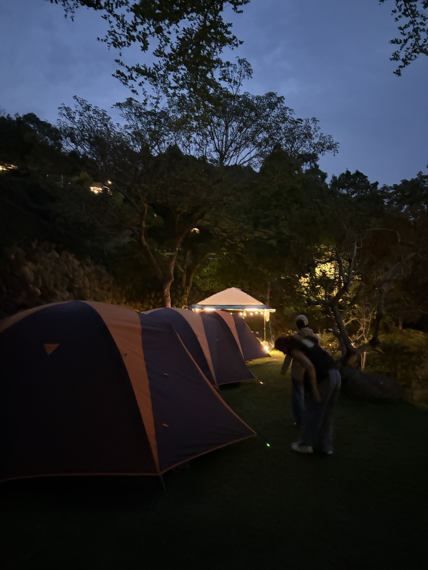 小路露營區 樺斑蝶區