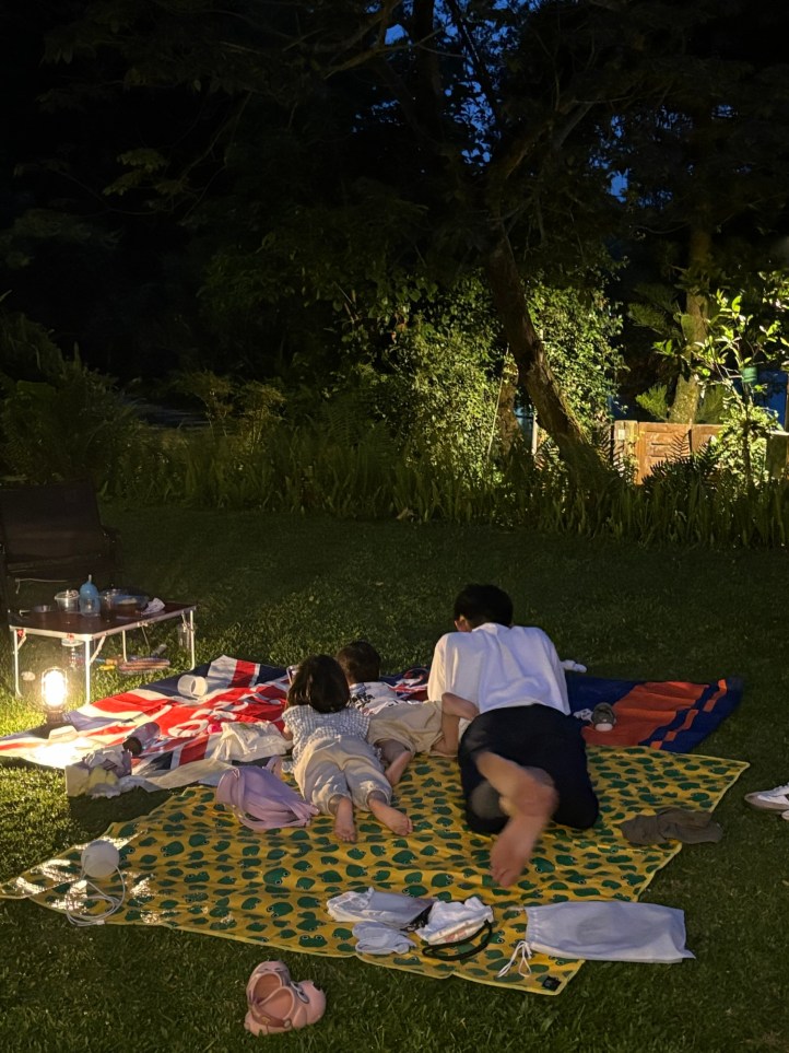 小路露營區 樺斑蝶 晚上