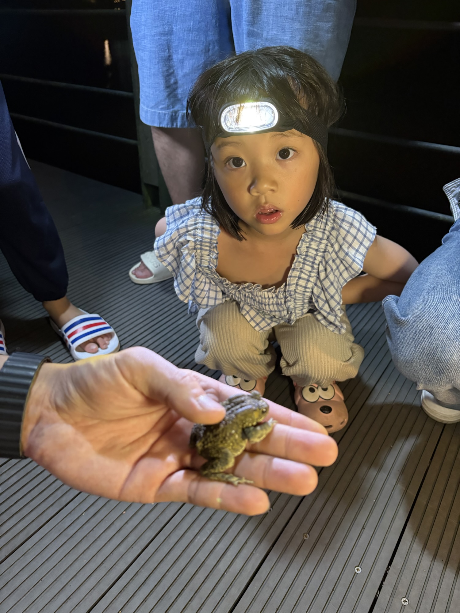 小路露營區 夜間導覽