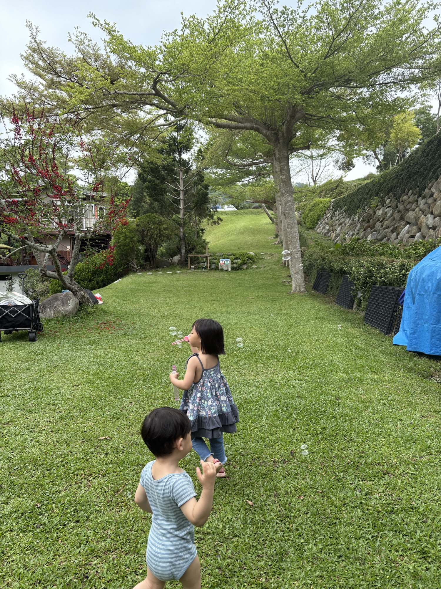 小路露營區 大草皮