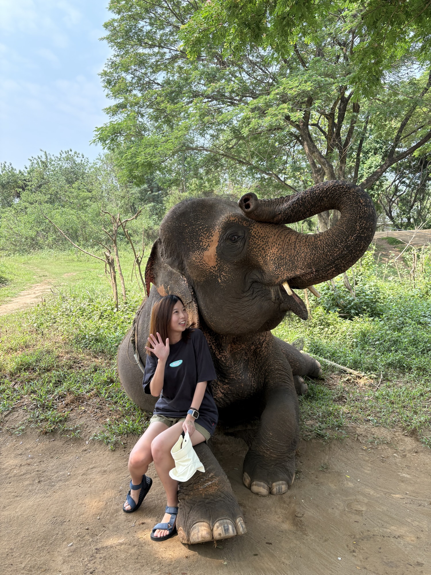 大象世界 網美大象